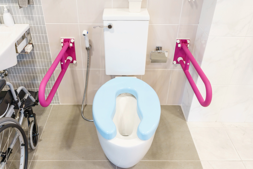 Raised Toilet Seat